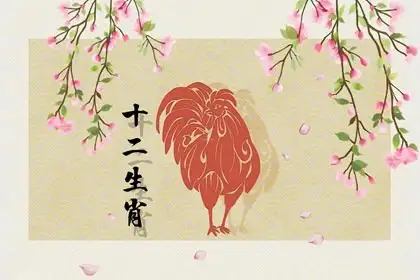 子丑寅亥两相冲，三三相边二一合精选解释梳理落实